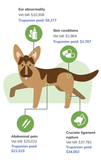 Price Factor Infographic Mobile