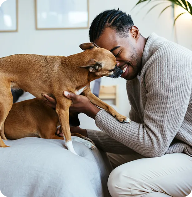 Man snuggling with his dogs