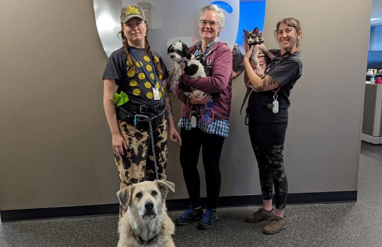 office-pet-ops-team