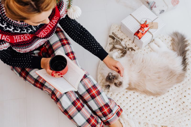 Overview of a pet owner in a Christmas sweater sitting on the floor with a cat near a holiday gift and pet toy.