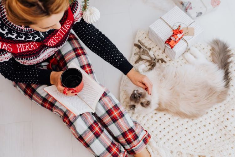 pet-owner-cat-christmas