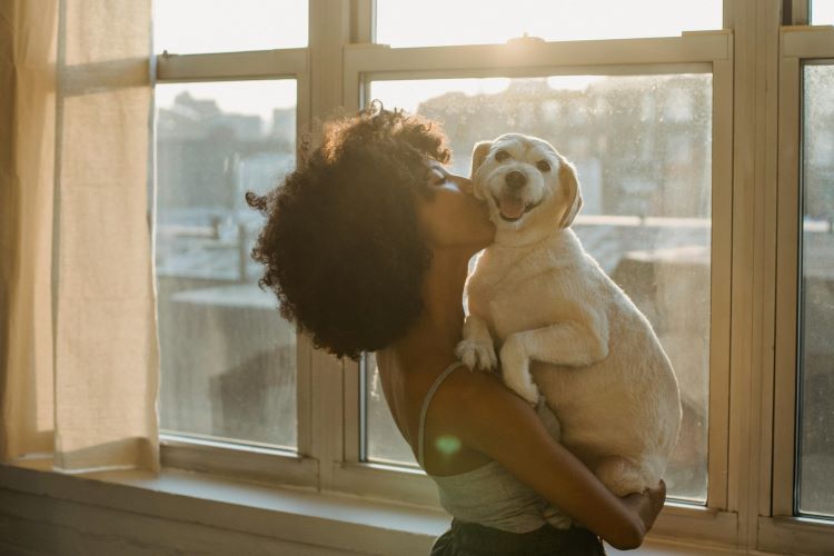 pet-owner-kissing-pup