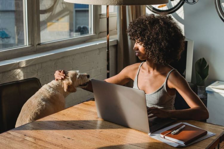 woman-working-at-home-with-dog