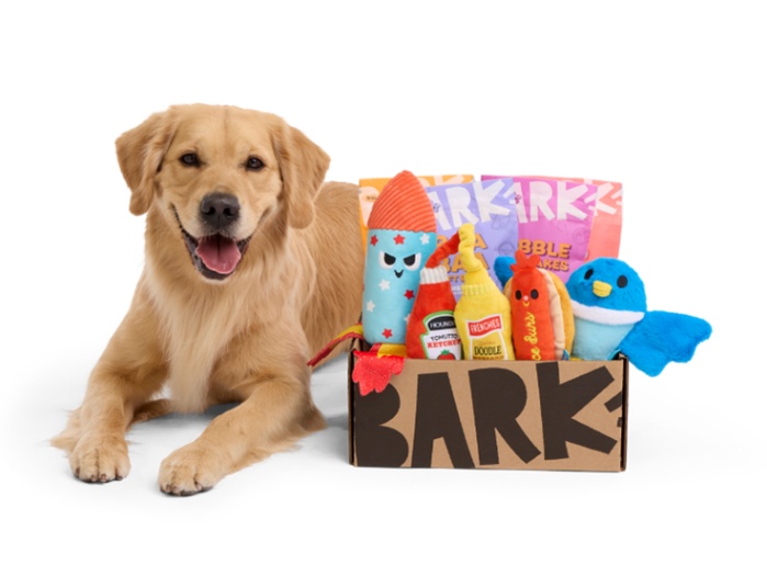 A dog sitting happily next to a Bark box