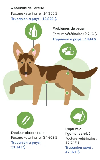Price Factor Infographic Mobile