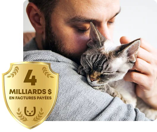 Un homme blottissant un chat.