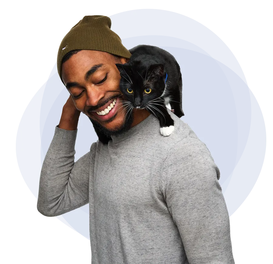 hero-compare-man-cat