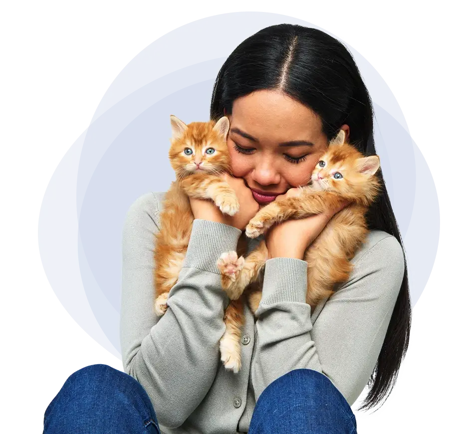 kitten insurance