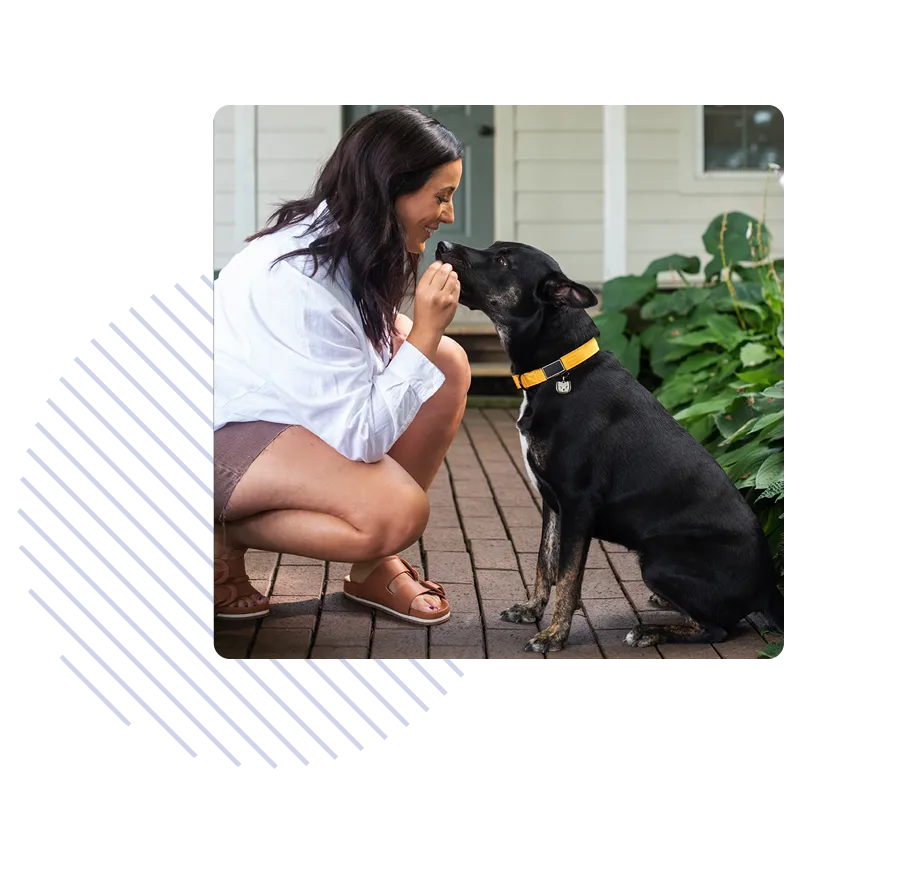 Une femme s’agenouille pour sourire dans son visage de chien image Une femme s’agenouille pour sourire dans son visage de chien