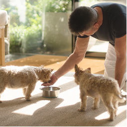 Simon feeding Diddly
