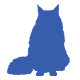 purebred cat