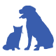 dog and cat