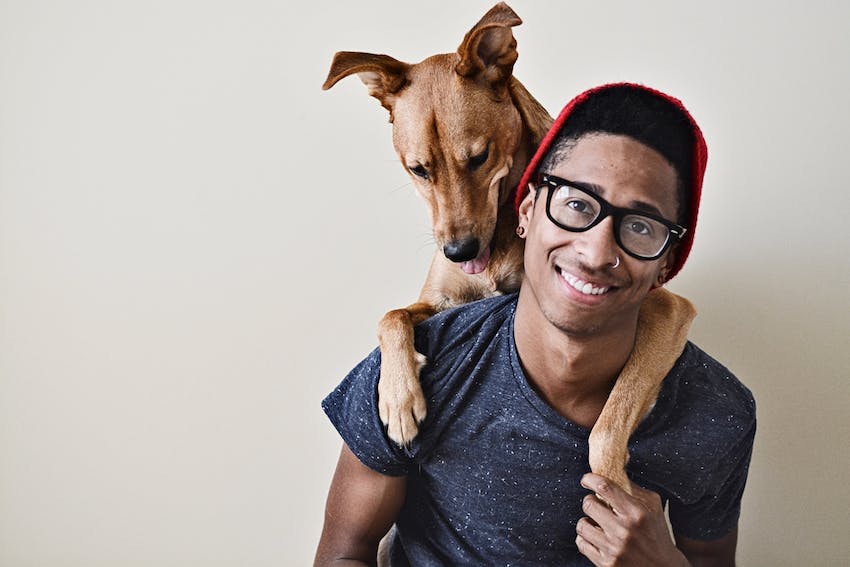 Dog Separation Anxiety Tips