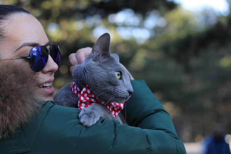owner hugging her cat