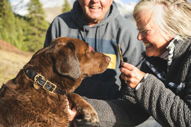 Pet owner offering treat to her dog