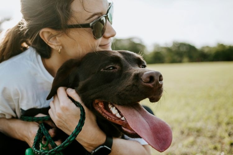 Tips for Finding Your Pet and Preventing an Escape