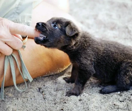 Colorful array of cleaning product bottles