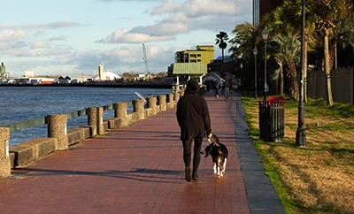 A person and a dog walking beside the water